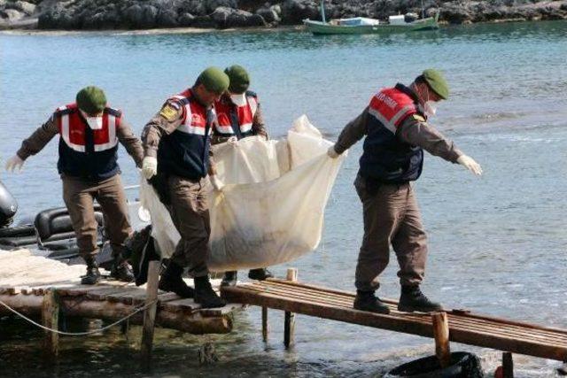 Mersin'de Dereye Düştü, Fethiye'de Cesedi Bulundu