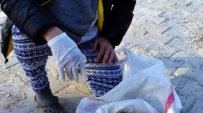 &Ccedil;&ouml;pe Atılan Yavru K&ouml;pekler &Ouml;l&uuml;me Terk Edildi