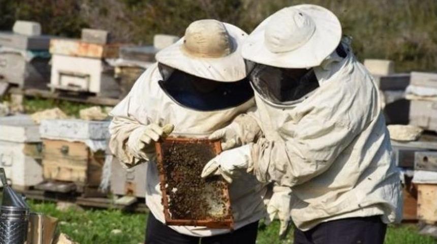 Aliağa&rsquo;da Bal &Uuml;reticileri Birliği Y&ouml;netim Kurulunu Belirledi