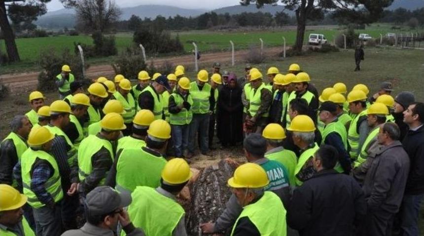 Ağa&ccedil; Kesme Ve Boylama Kursiyerleri, Alanda Uygulama Yaptı