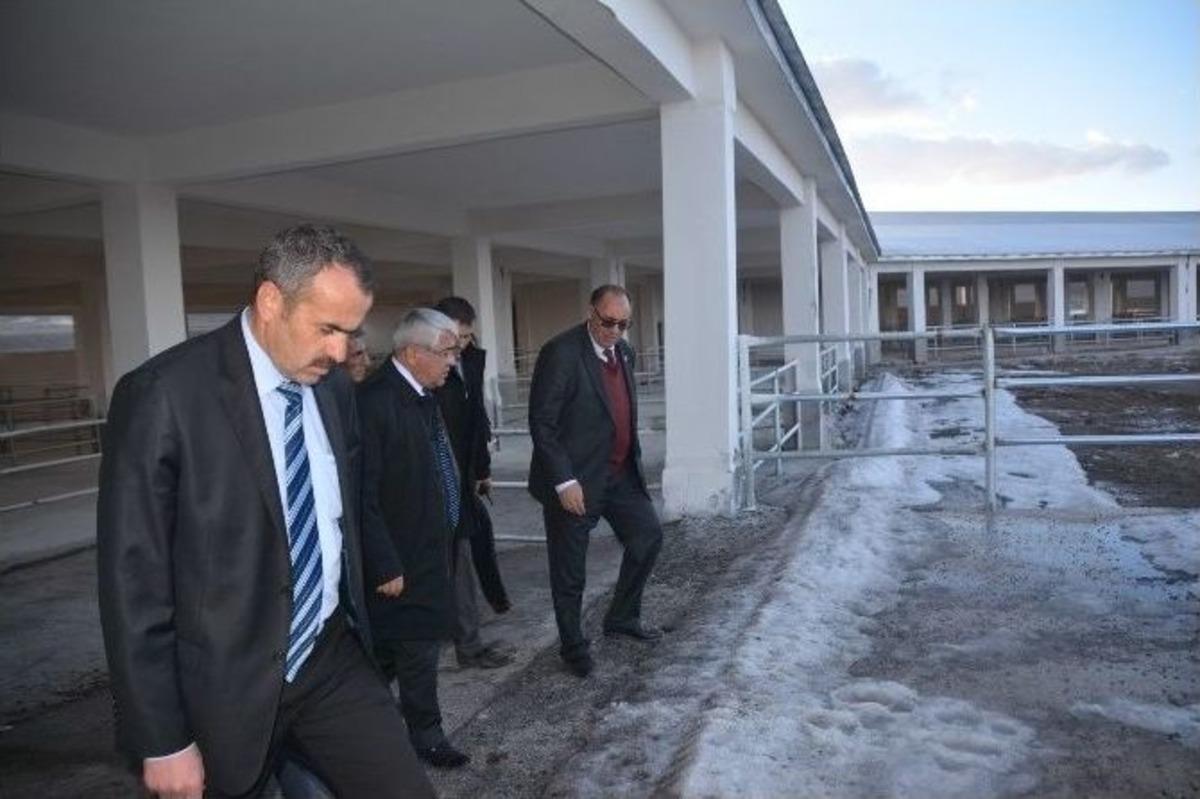 Modern Hayvan Pazarı Hizmete Giriyor