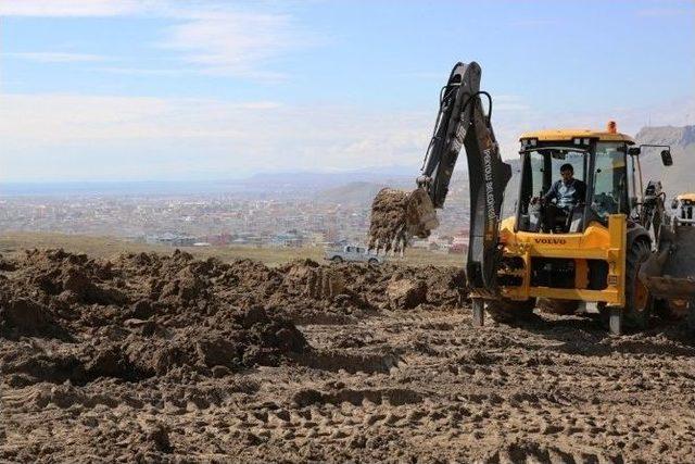 Erek Dağı’na 50 Bin Fidan Dikilecek