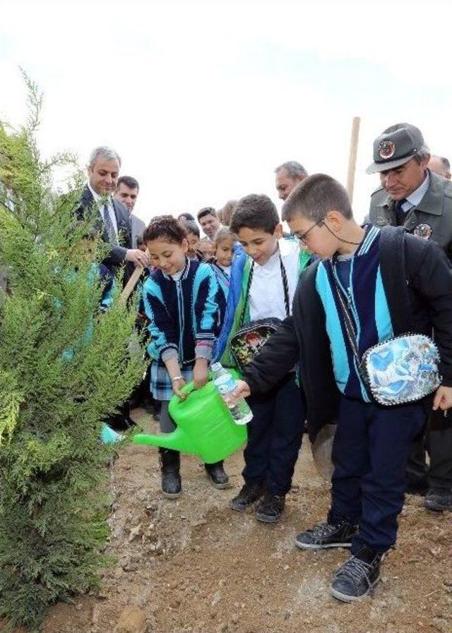 Gaziantep’e İtfaiye Hatıra Ormanı 3