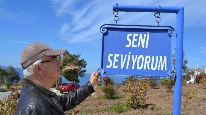 G&ouml;me&ccedil; Sokakları Yetim Kaldı