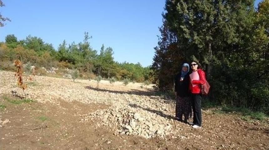 &Ccedil;atak Projesi 2015 Yılı Başvuruları Alınmaya Başlandı