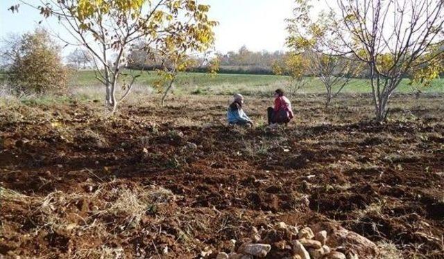 Çatak Projesi 2015 Yılı Başvuruları Alınmaya Başlandı