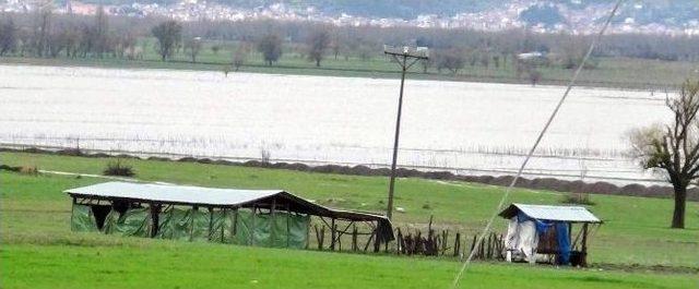 Simav Ovası&rsquo;nda Ekili Alanlar Sular Altında Kaldı 1