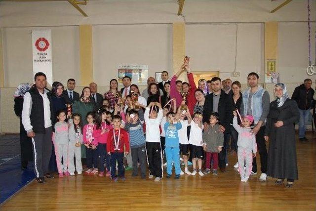 Erzincan’da Minik Sporcuların Cimnastik Gösterileri Büyüledi