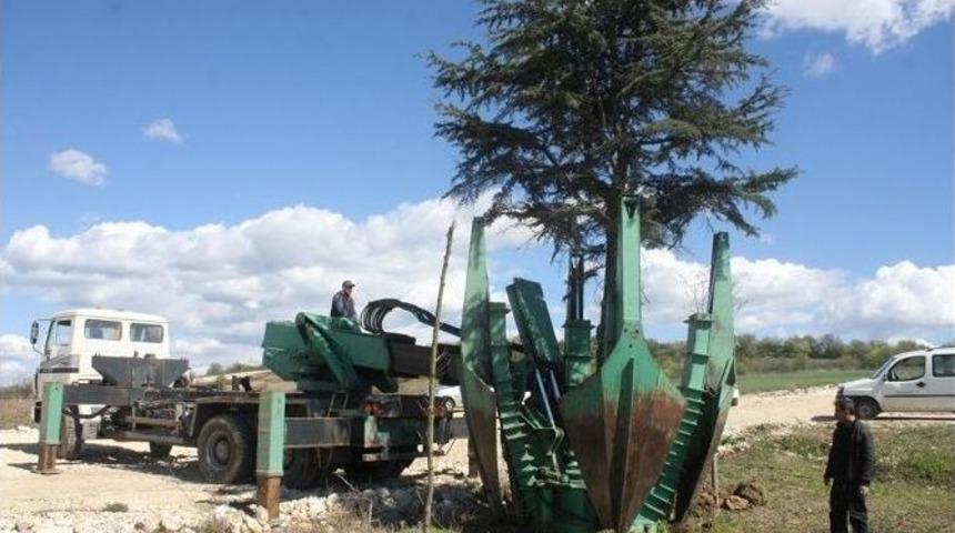 Edirne&rsquo;de 33 Ağa&ccedil; Hi&ccedil; Zarar G&ouml;rmeden Nakledildi