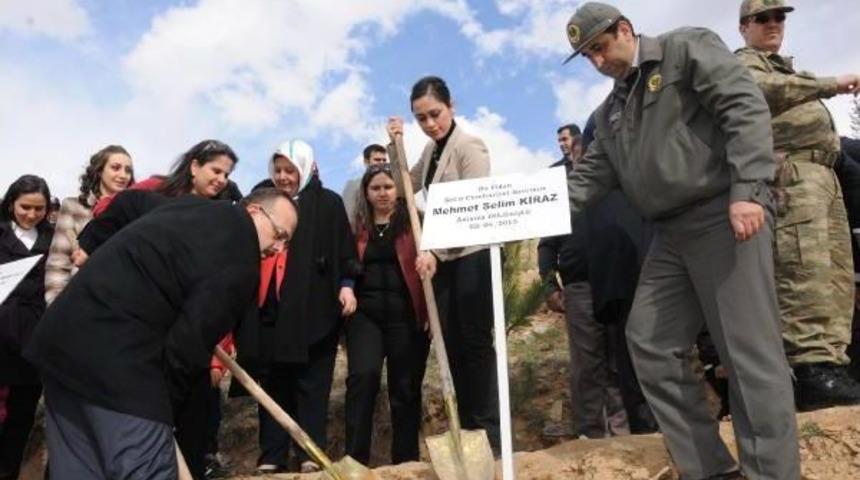 Hakkari'de Şehit Savcı Kiraz Ve &Ouml;zgecan I&ccedil;in Fidan Dikildi