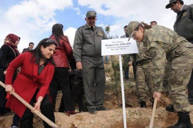 Hakkari'de Şehit Savcı Kiraz Ve Özgecan Için Fidan Dikildi