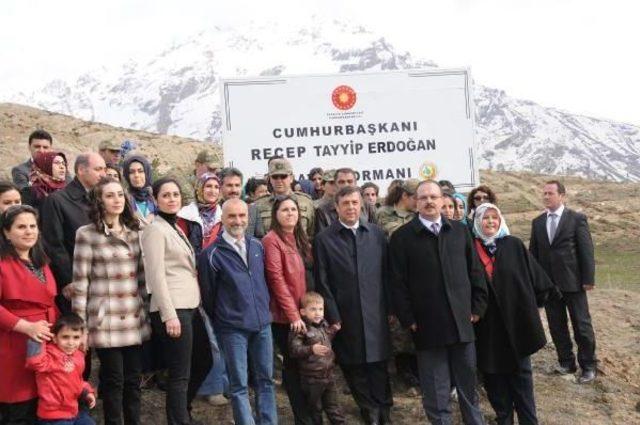 Hakkari'de Şehit Savcı Kiraz Ve Özgecan Için Fidan Dikildi