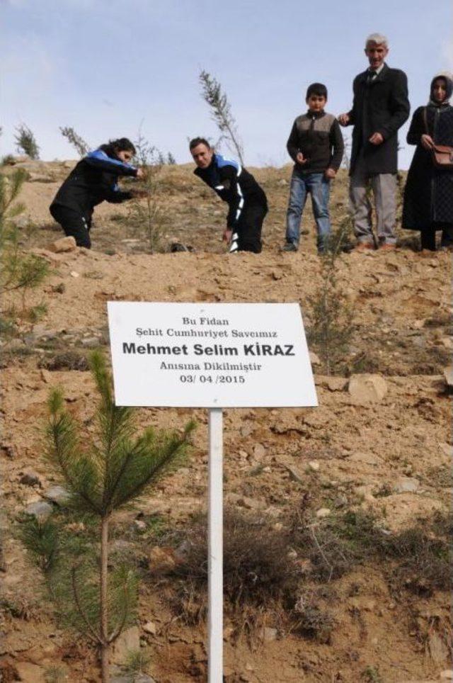 Hakkari'de Şehit Savcı Kiraz Ve Özgecan Için Fidan Dikildi