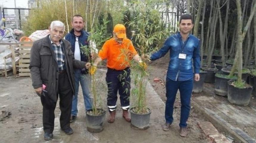 Nil&uuml;fer Belediyesi Bir Ayda 3 Bin Fidan Dağıttı