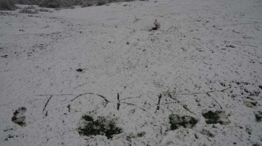 Tokat&rsquo;Ta Nisan Karı