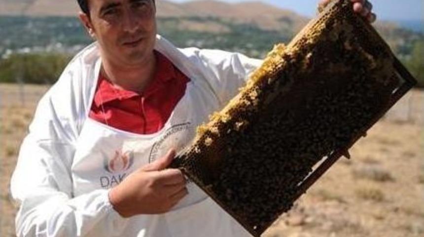 Arıcılara İlkbahar Uyarısı