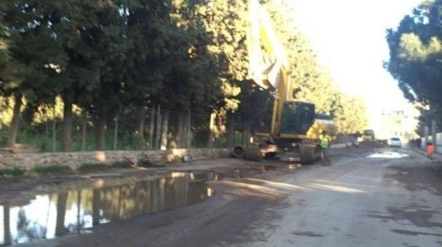 Bodrumlu S&uuml;r&uuml;c&uuml;lerin Yol Tepkisi