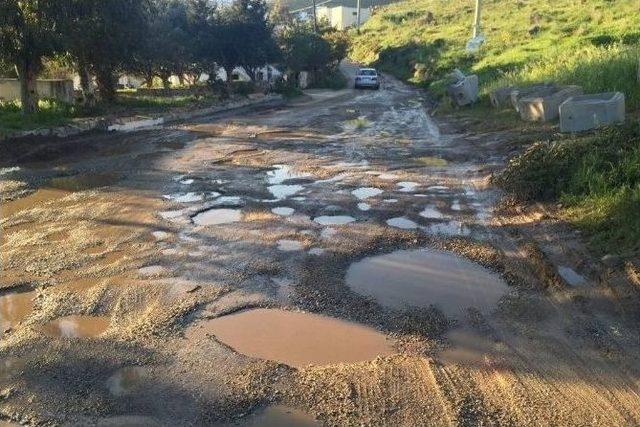 Bodrumlu Sürücülerin Yol Tepkisi