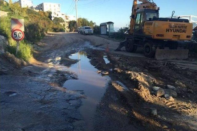 Bodrumlu Sürücülerin Yol Tepkisi