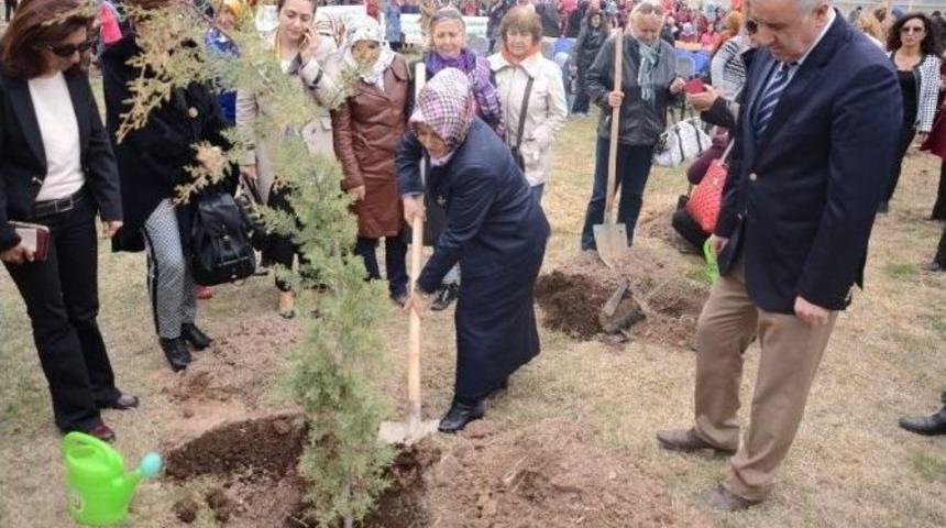 Yeşil Aksaray &Ccedil;alışmalarına Hanım Eli Değdi