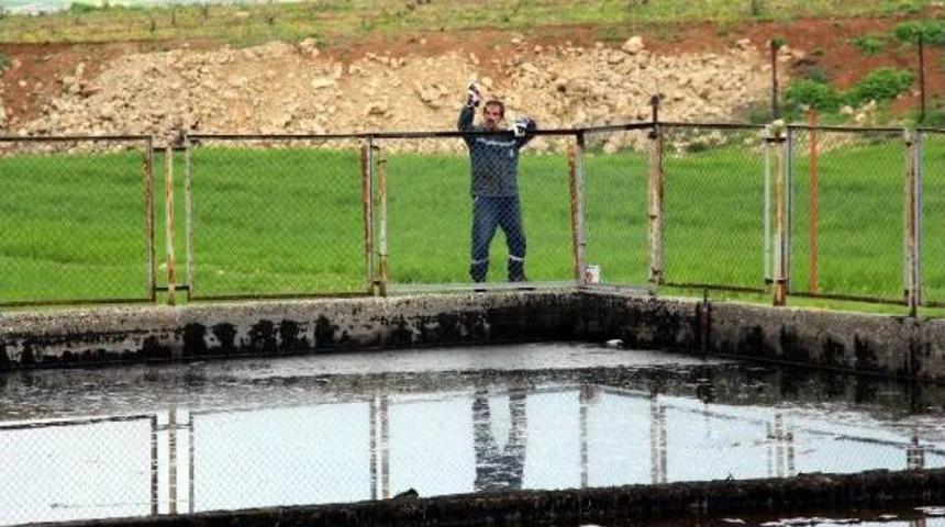 K&ouml;peklerin D&uuml;şt&uuml;ğ&uuml; Tpao Atık Havuzunun &Ccedil;evresine Tel &Ouml;rg&uuml; &Ccedil;ekildi