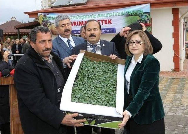 Büyükşehir’den Çiftçiye Bir Destek Daha