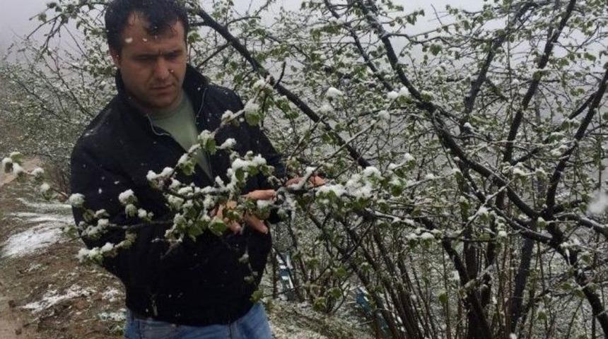 Fındıkta Tehlike &Ccedil;anları