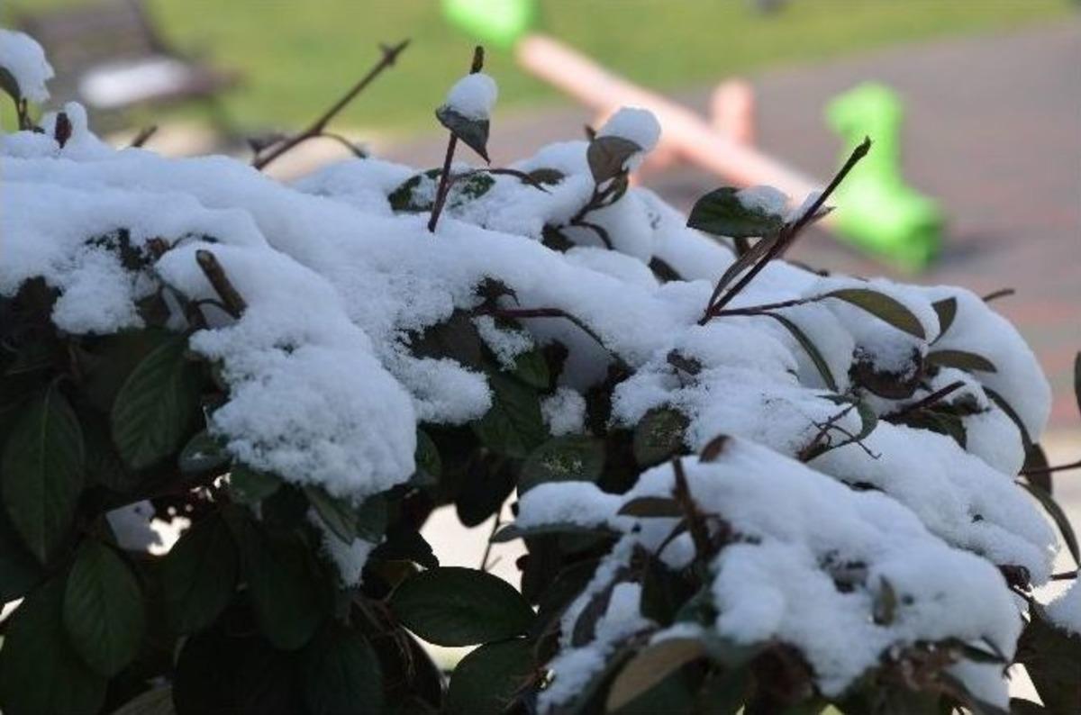 Eskişehir&rsquo;de Gece Kar, G&uuml;nd&uuml;z G&uuml;neşli Hava