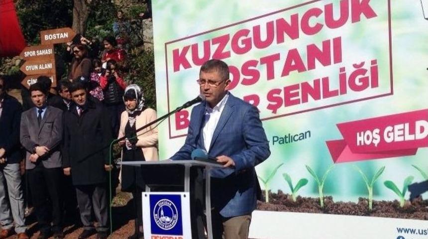 Minik Eller Ektiklerini Bi&ccedil;ecek