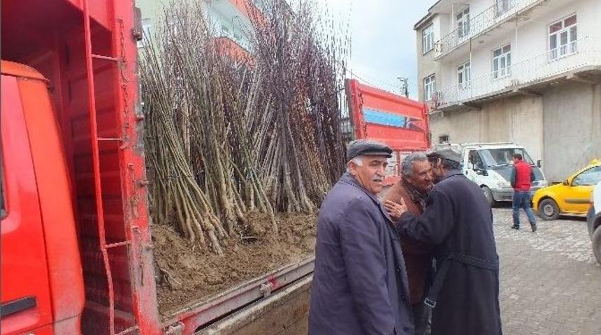 Malazgirt&rsquo;te Fidan Satışları Başladı