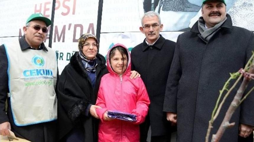 Meram’da 2 Bin Fidan Toprakla Buluşturuldu