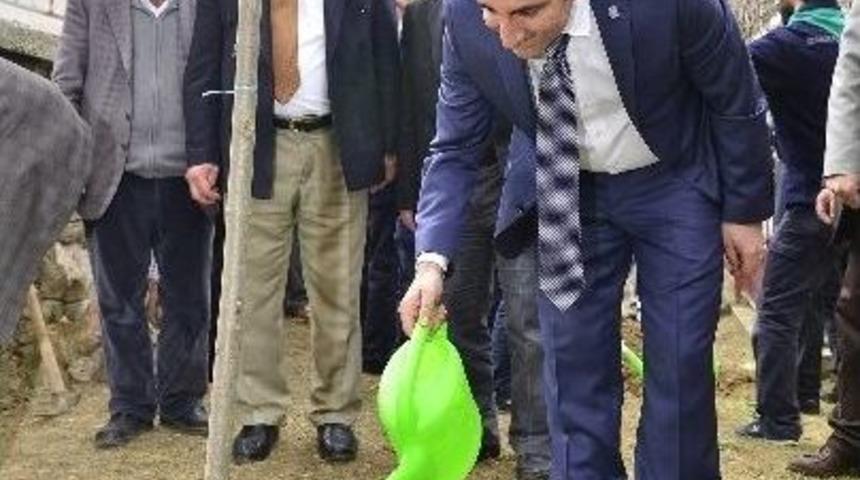 Yeşil Yıldırım&rsquo;a Adım Adım