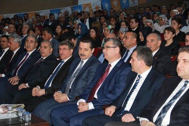 Bakan &Ccedil;elik: "sorun &Ccedil;&ouml;zme Delisiyim" 2