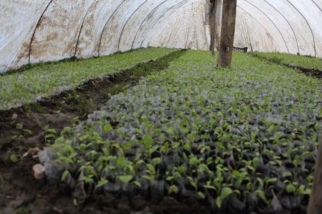 (&ouml;zel Haber) Huzur İle Birlikte K&ouml;yl&uuml;ler Geri D&ouml;n&uuml;ş Yapmaya Başladı