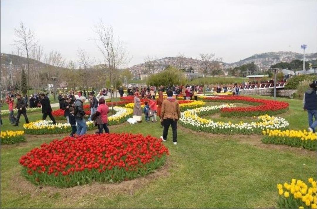 8. Sekapark Lale Festivali Başladı