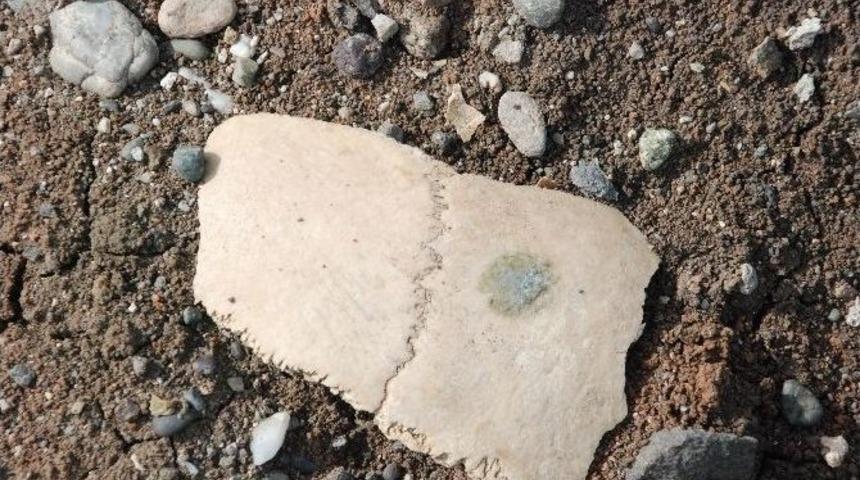 Diyarbakır&rsquo;da İnsan Kemikleri Bulundu