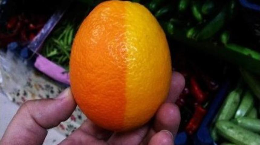 Yarısı Limon, Yarısı Portakal