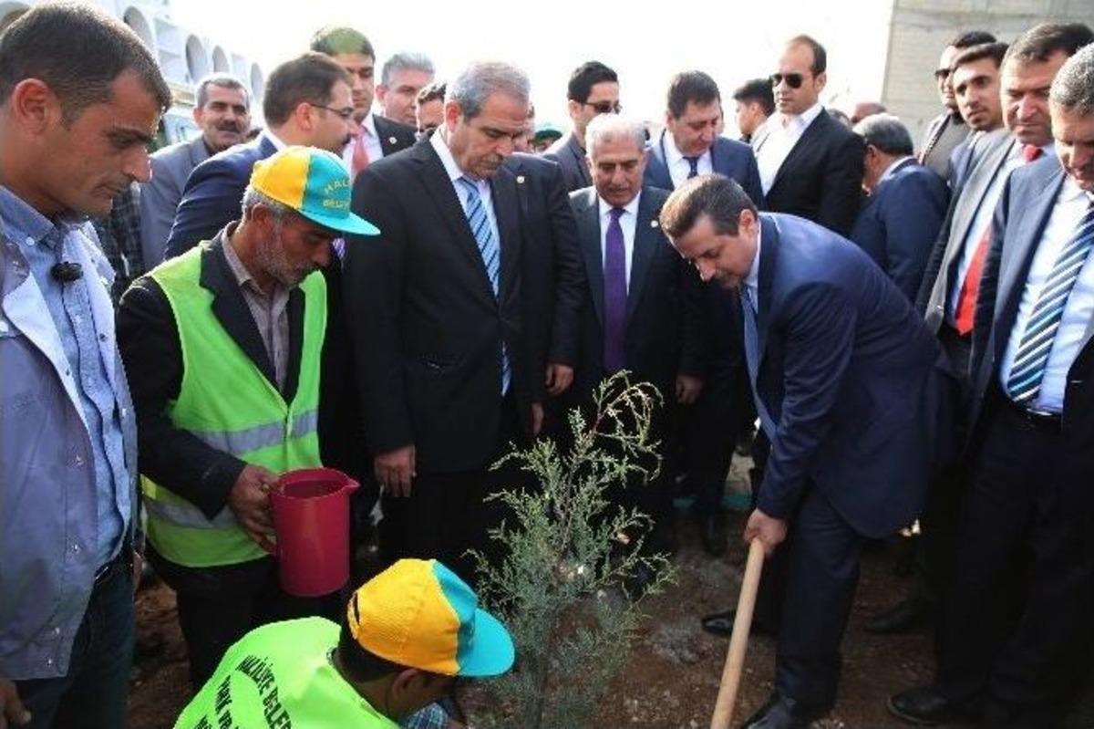 Bakan &Ccedil;elik, Başkan Demirkol İle Fidan Dikti