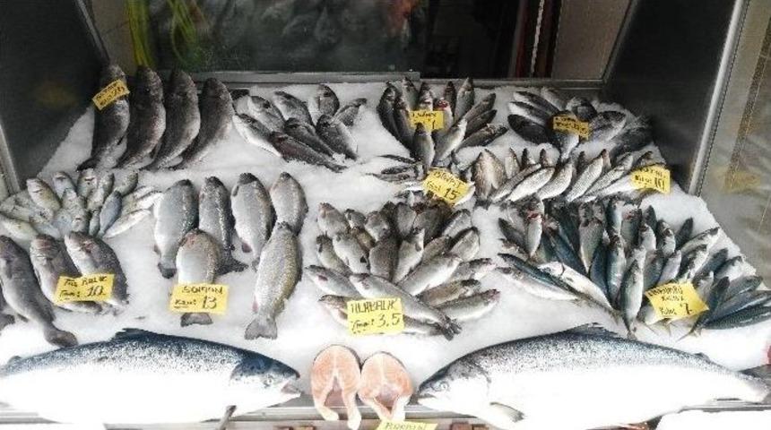 Balık Fiyatları El Yakıyor