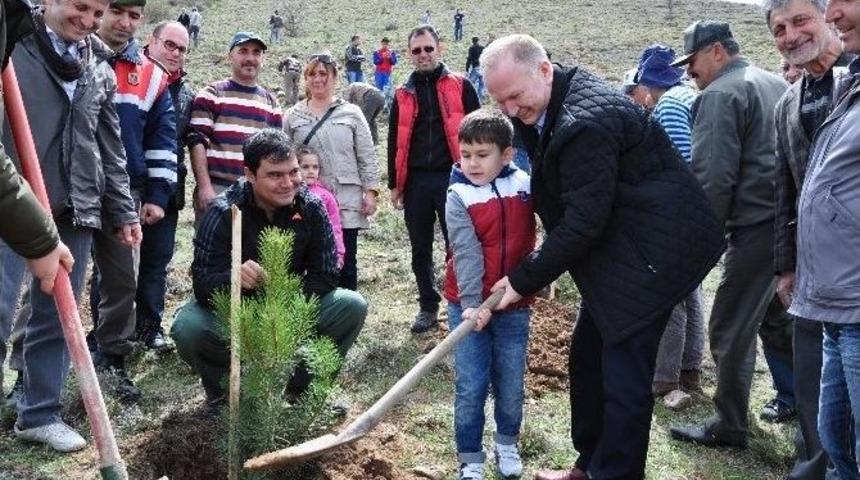 &Uuml;rg&uuml;p&rsquo;te 8 Bin Fidan Toprakla Buluşturuldu