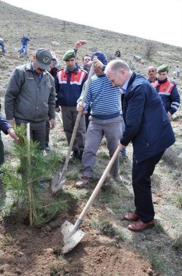 Ürgüp’te 8 Bin Fidan Toprakla Buluşturuldu