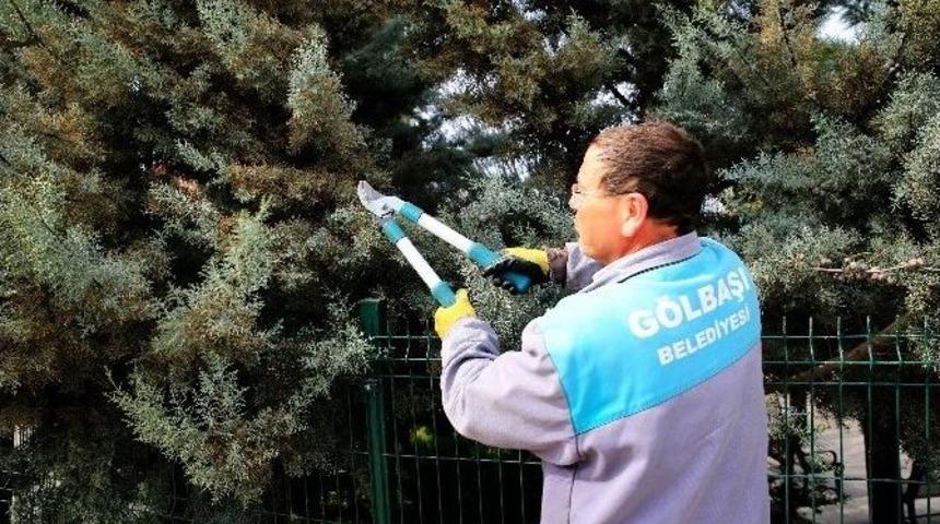 G&ouml;lbaşı Belediyesi&rsquo;nden Bahar &Ccedil;alışması