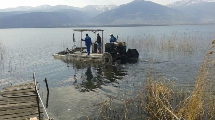 Sapanca G&ouml;l&uuml; &Ccedil;evresinde Temizlik &Ccedil;alışması Yapıldı