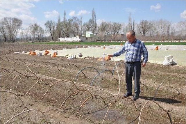 Bu Mahallenin Ge&ccedil;im Kaynağı Fide Seracılığı 1