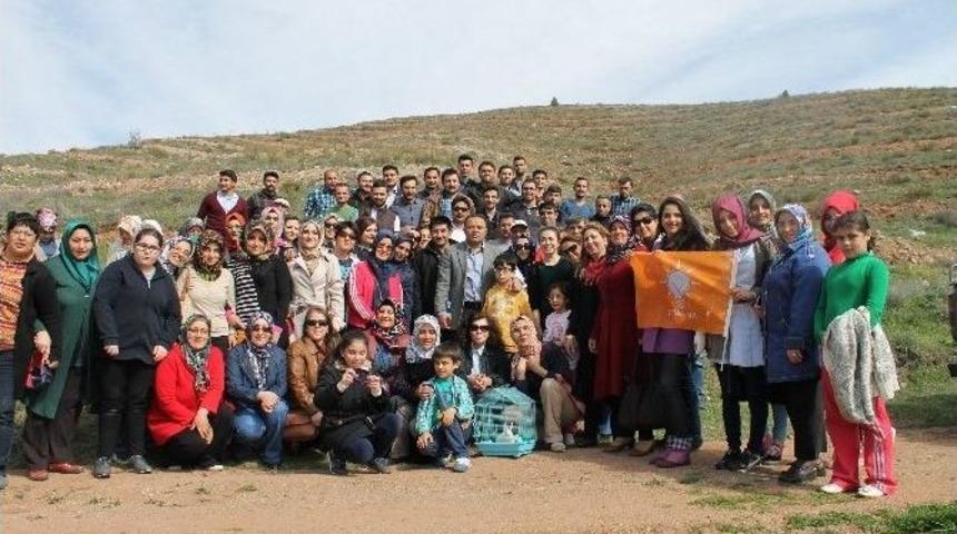 Yeşil Aksaray İ&ccedil;in Fidan Dikimi Yapıldı