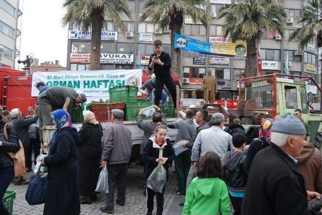 240 Bin Fidan Toprak İle Buluştu 1