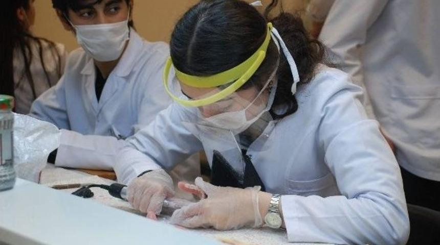 Tokat Diş Hekimliği Fak&uuml;ltesi Emekleme Devresini Bitirdi