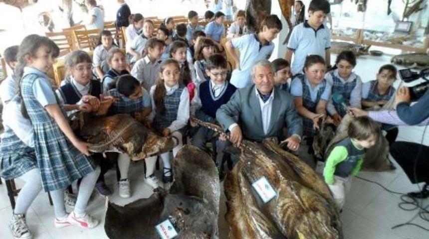 &Uuml;cretsiz Deniz Canlıları M&uuml;zesi