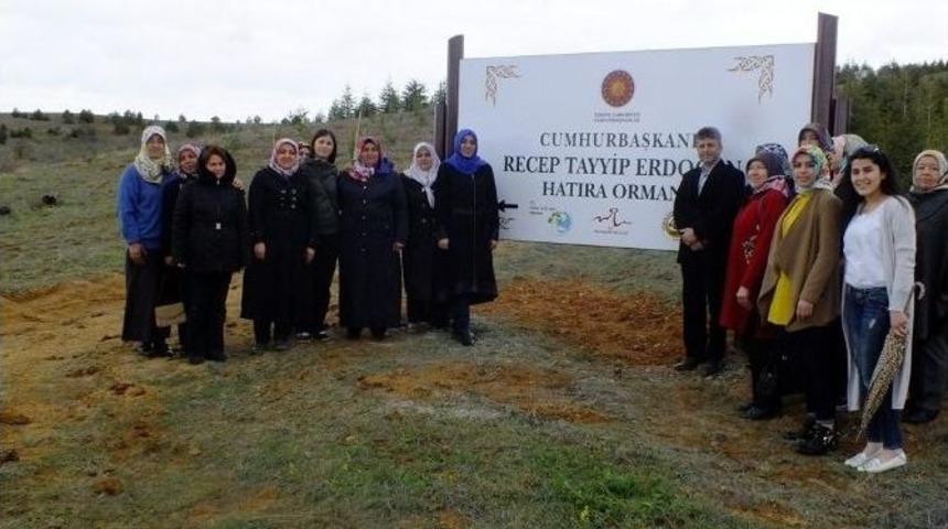 Ak Partili Kadınlar, Recep Tayyip Erdoğan Hatıra Ormanına Fidan Dikti