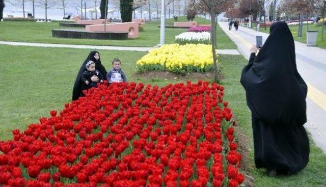 Kocaeli'nde Lale Günleri